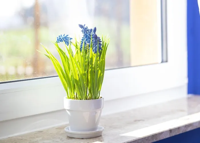 Village Vendégház Naumburg